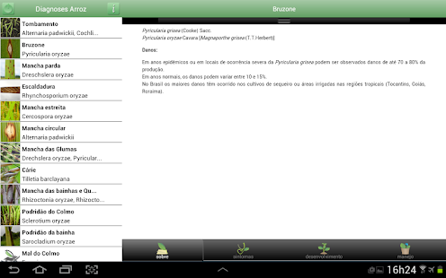 Diagnoses - Arroz Irrigado Screenshots 1