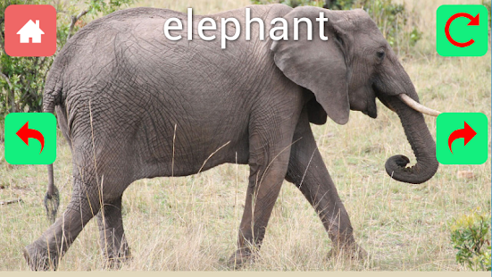 How to install Animal - NEW ERA 1.0 apk for laptop