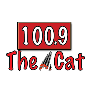 100.9 The Cat.apk Varies with device