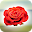 Rose Dialer Download on Windows