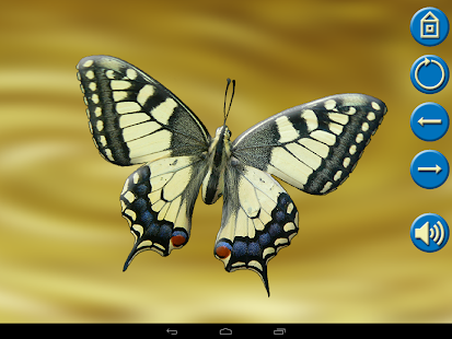 Animal Puzzle for Kids Screenshots 10