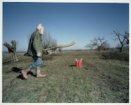 Wilgen knotten bij een boomgaard