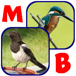 Memory Bird: Britain 1.0