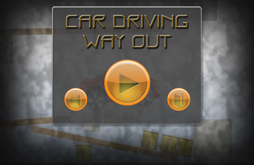 Car Driving. Way Out