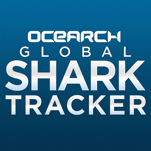 Global shark. Shark tracker. трекер акул.