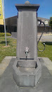 Leeuw Water Pump 