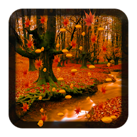 紅葉ライブ壁紙 Androidアプリ Applion