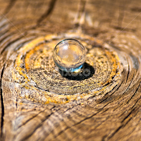 by Shalabh Sharma - Artistic Objects Other Objects