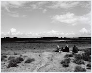 De Strabrechtse Heide