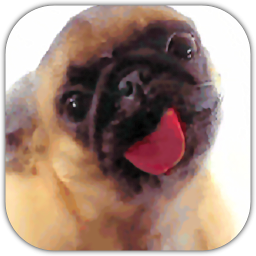 Droll Pug Licking Screen - l2sanpiero