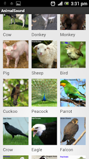 Free Download Animal Sound APK for Android