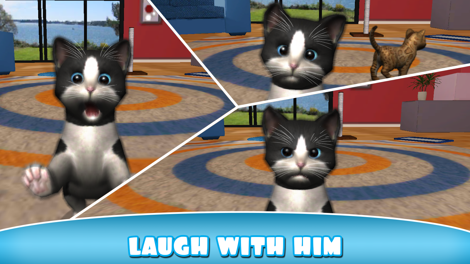 Daily Kitten Kucing Maya Apl Android Di Google Play