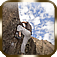 Laches, Or Courage