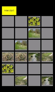 Download Find Equal Cards APK