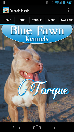 Blue Fawn Kennels