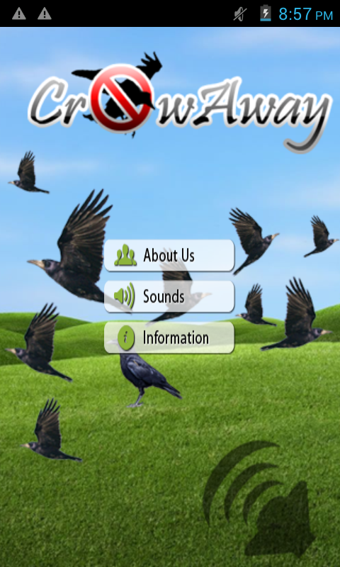 Crow Away Screen 3