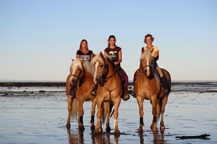 Horseback riding along the seashore, Charlevoix, Quebec. 