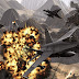 Call Of ModernWar:Warfare Duty APK v1.0.0 Mod Money