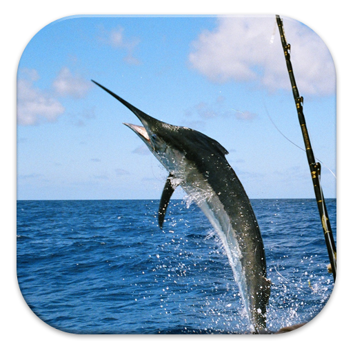 Deep Sea Fishing Guide