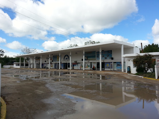 Terminal De Ómnibus San Bernardo