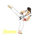 Final Karate Demo logo