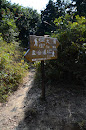 廟仔墩路口 High Junk Peak Country Trail - Miu Tsai Run Junction