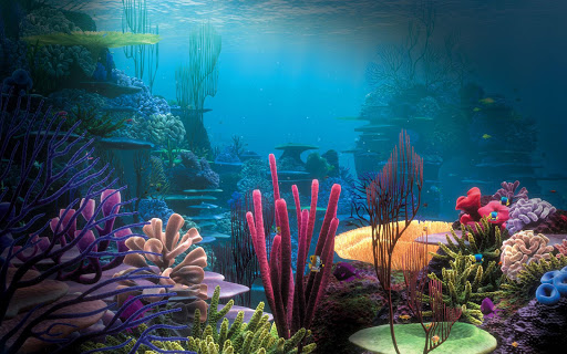 Aquarium HD Live Wallpaper