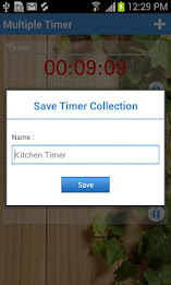 Multiple Timer poster 4