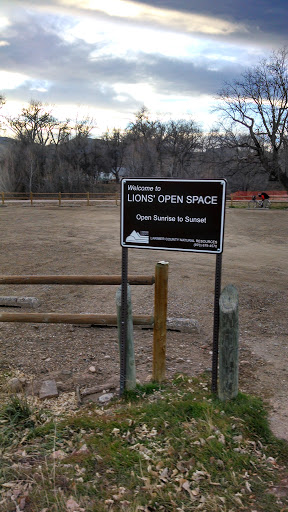 Lions Open Space