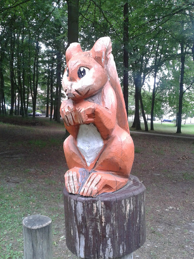 Eichhörnchen beim Spielplatz