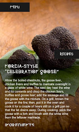 Segni Etruschi Eng poster 7