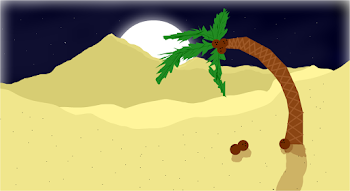 Desert Night