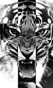 Hipster HD Wallpapers Screenshots 0