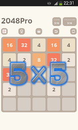 2048 Professional 5×5 poster 5