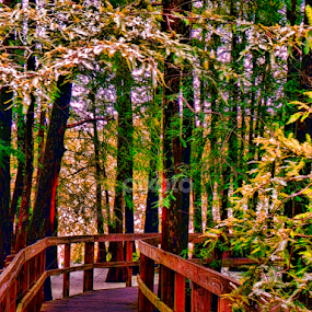Remembering Summer by Michael Grado - Nature Up Close Trees & Bushes
