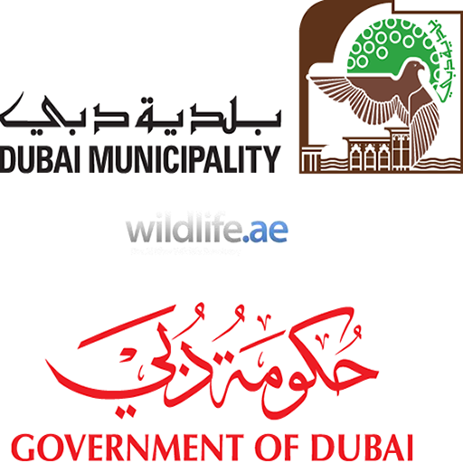 Dubai Ras Al Khor Wildlife LOGO-APP點子