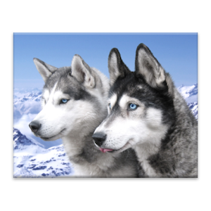 Dogs Jigsaw Puzzles.apk 1.9.dog