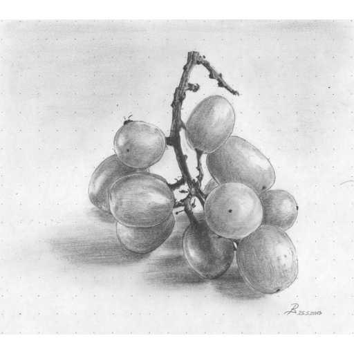 ArtToDraw 0002 Grapes