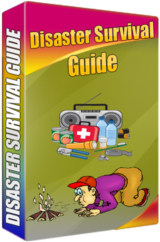 Disaster Survival Guide App