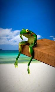 слова песни лягушка три. мелодия из лягушки подозревали. три желания лягушка. царевна лягушка заставка. три желания лягушка текст.