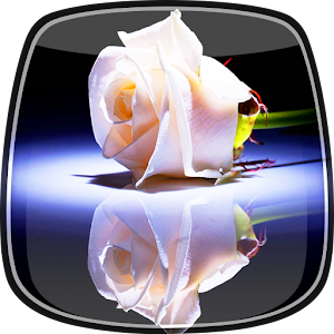 White Rose Live Wallpaper.apk 2.0