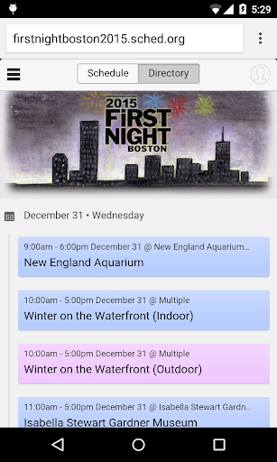 First Night Boston 2015