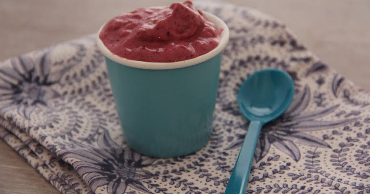 10 Best Fat Free Sugar Free Ice Cream Recipes | Yummly