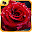 Flower Puzzles Download on Windows