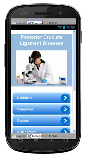 Posterior Cruciate Ligament