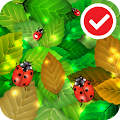 Ladybug Free Live Wallpaper Apk