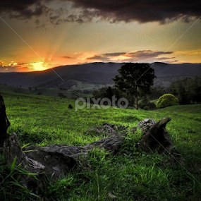 Meadow. by Jordiie Hunt - Landscapes Sunsets & Sunrises