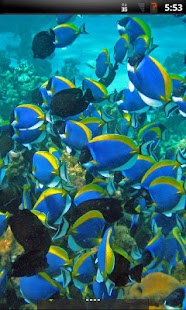 How to download Tropical Fish Live Wallpaper 3.6.0.0 mod apk for bluestacks