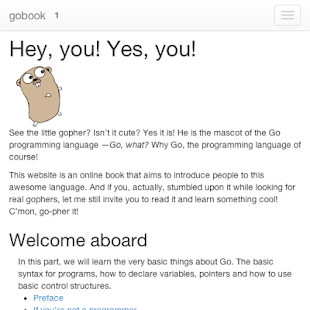 go golang book Screenshots 0