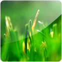 Green Greenery (PRO) logo